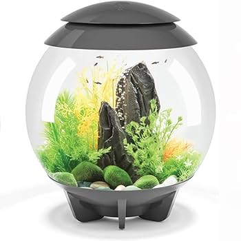 Amazon | biOrb 水槽 セット ハロ 30L (72041) 多機能